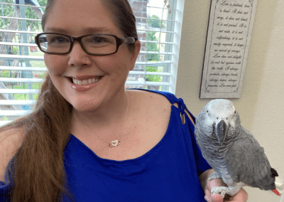 African grey parrot for sale in houston