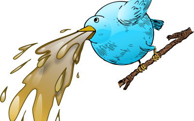 Birds Health Issues One Must Know