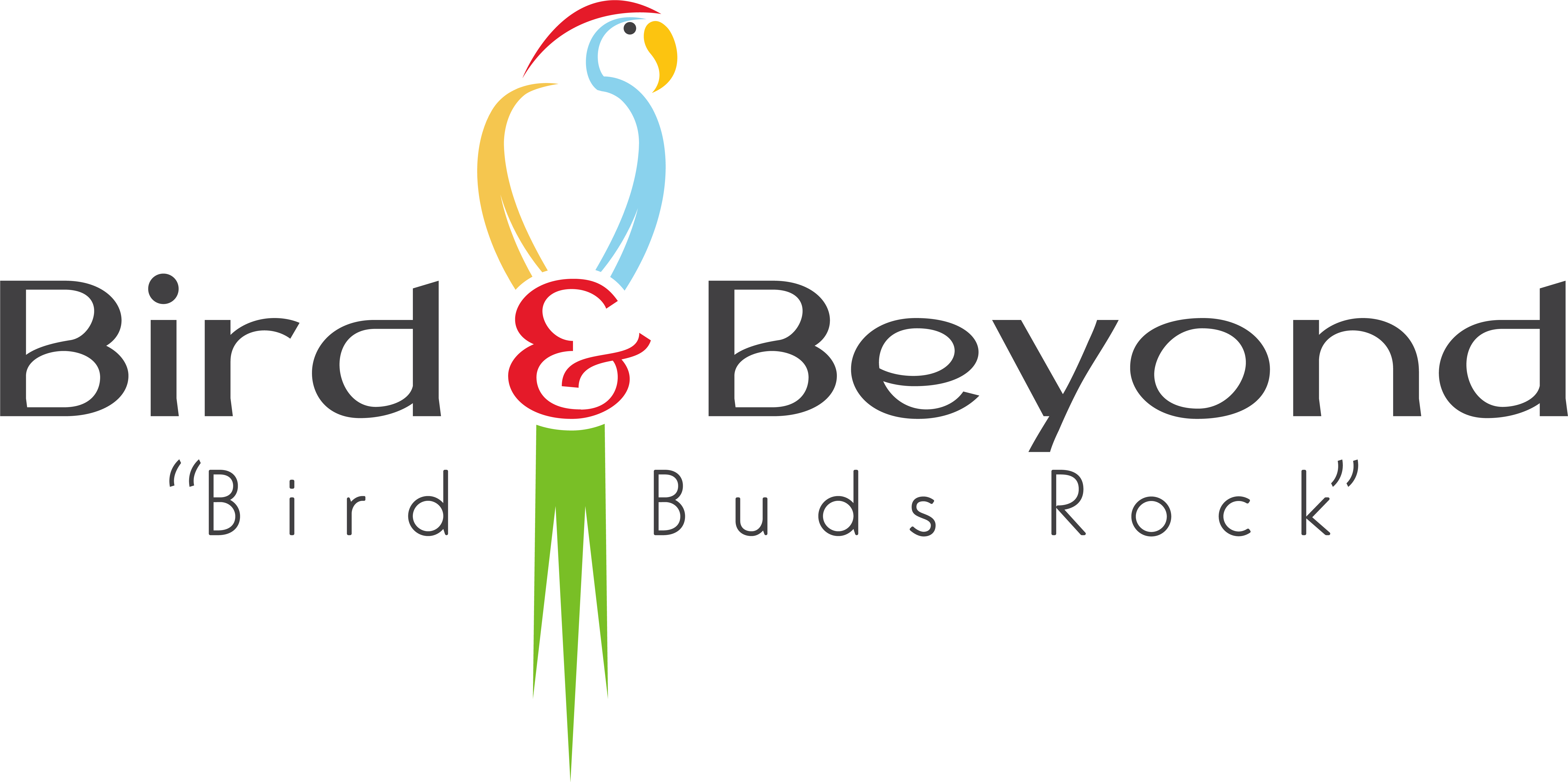 Birds for Sale in Texas | Bird Breeder Near me | Bird & Beyond