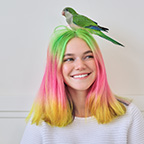 smily parrot owner<br />
