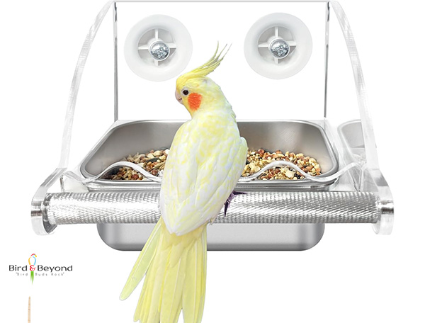 bird feeders