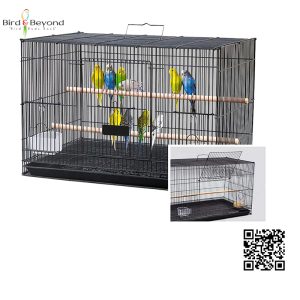 bird cage
